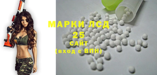 гашик Аркадак